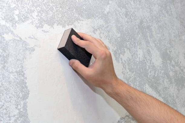 Mold Remediation for Vacation Homes in Howell, MI