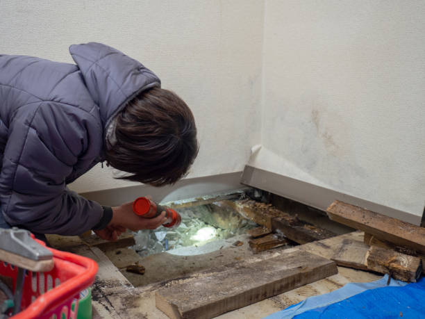 Best Mold Prevention Services  in Howell, MI