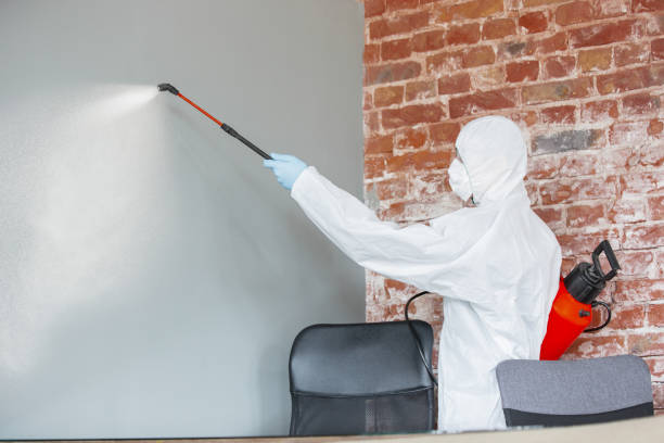 Best Mold Documentation for Insurance Claims  in Howell, MI